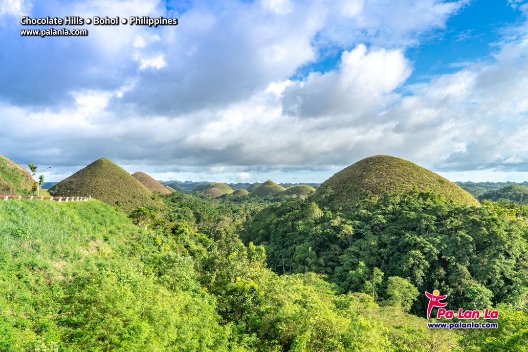 Chocolate Hills